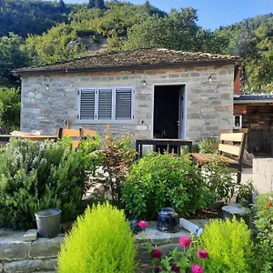 https://bujtina-lugina-e-vjoses.albaniahotels.org